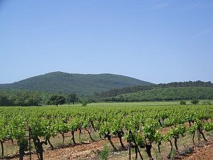 Côtes de Provence