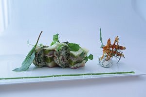 Gilles Moreau Plat 4