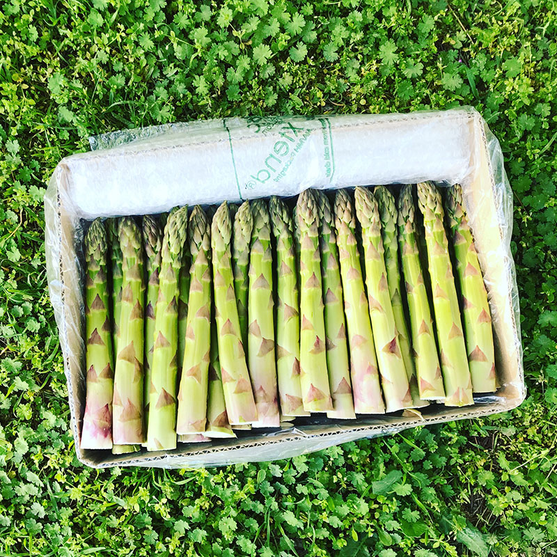 asperge verte